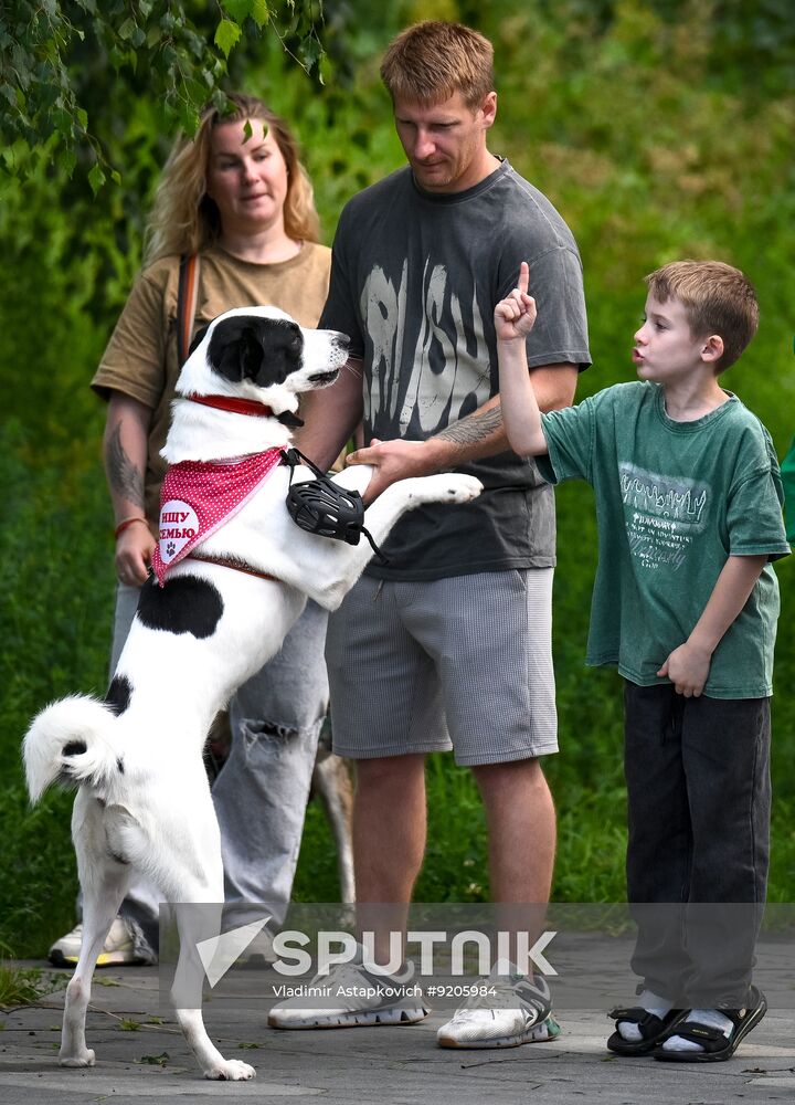 Russia Dog Parade