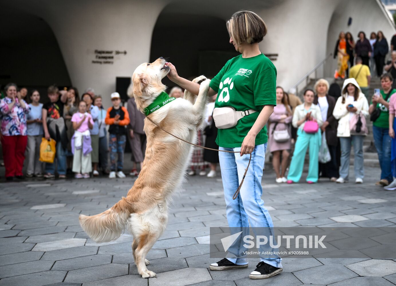 Russia Dog Parade