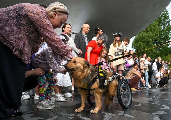 Russia Dog Parade