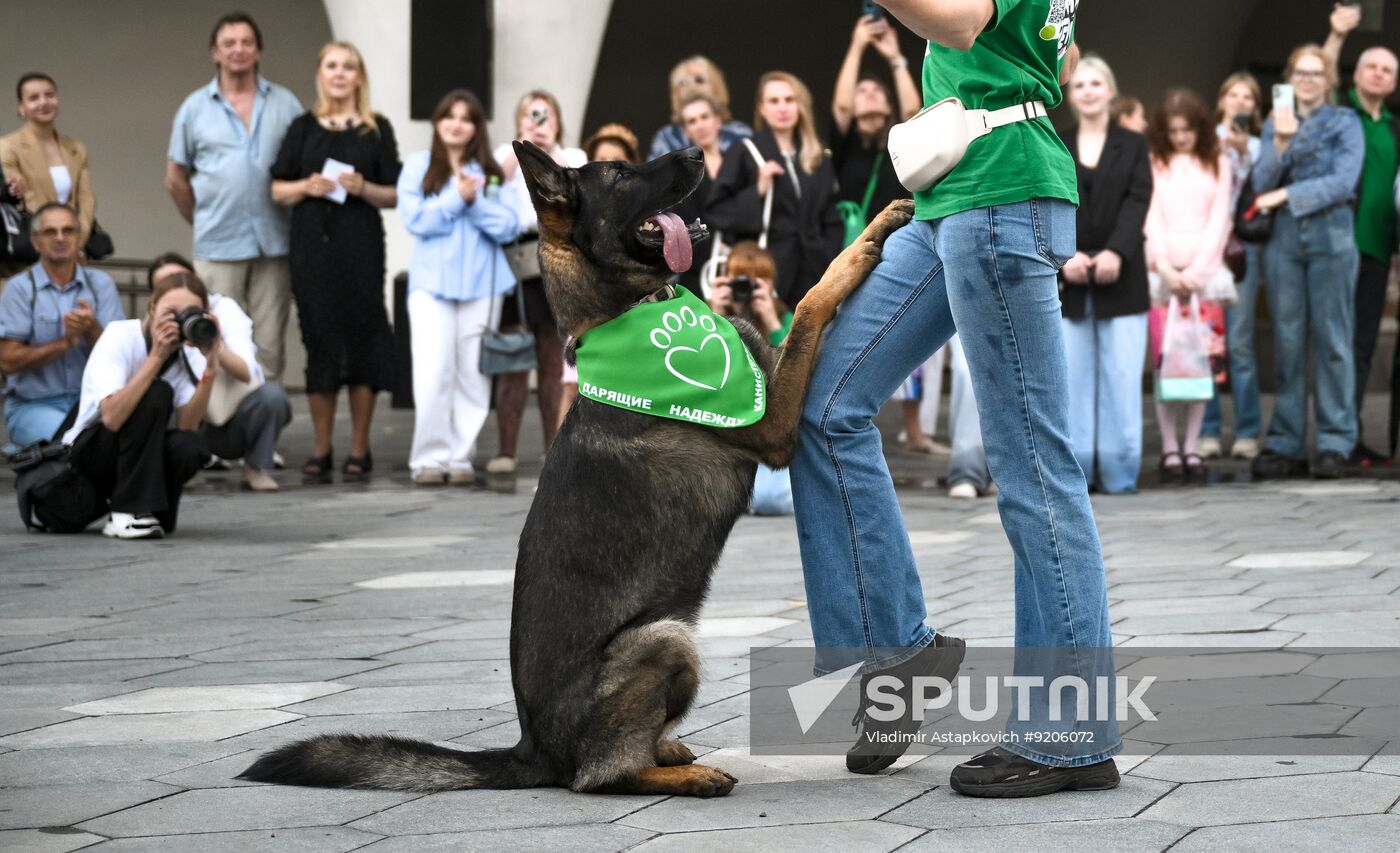 Russia Dog Parade