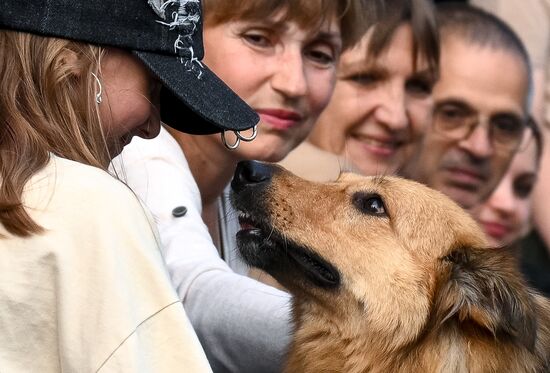 Russia Dog Parade