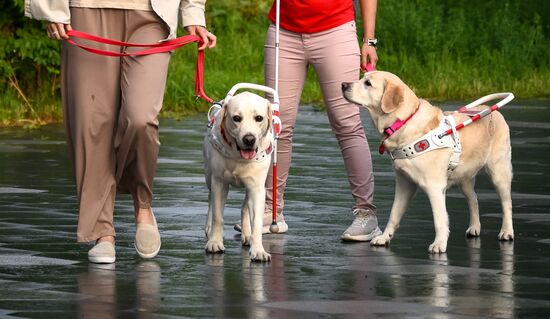 Russia Dog Parade