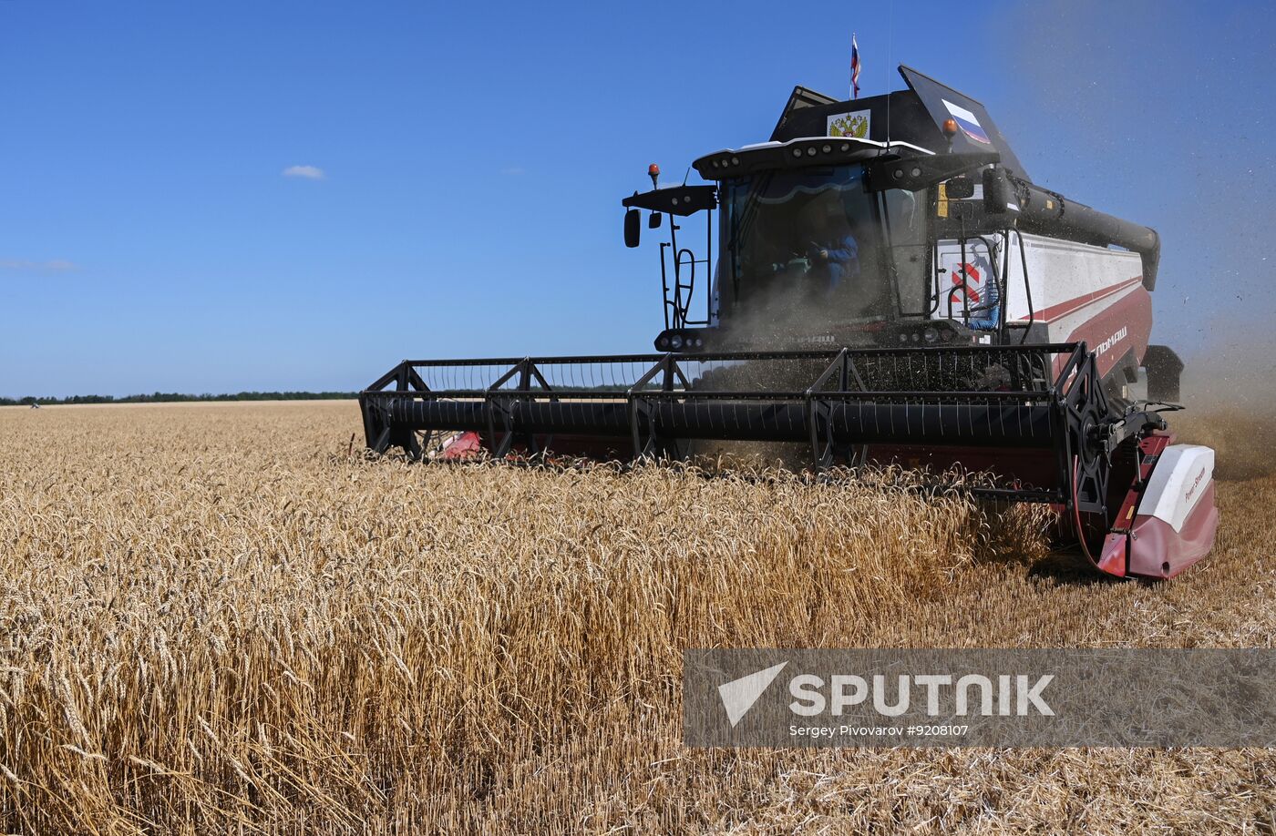Russia Agriculture Wheat Harvesting