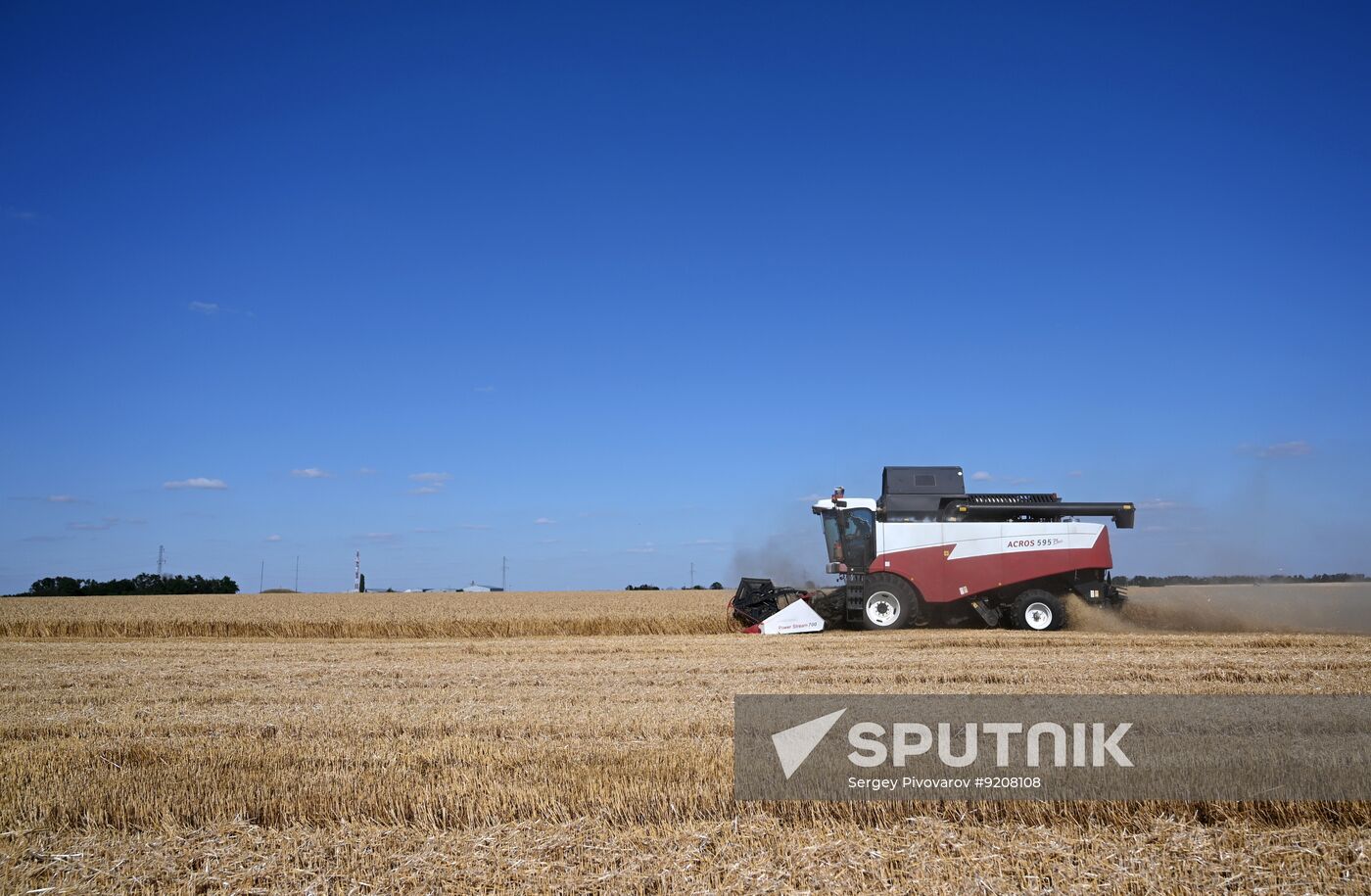Russia Agriculture Wheat Harvesting