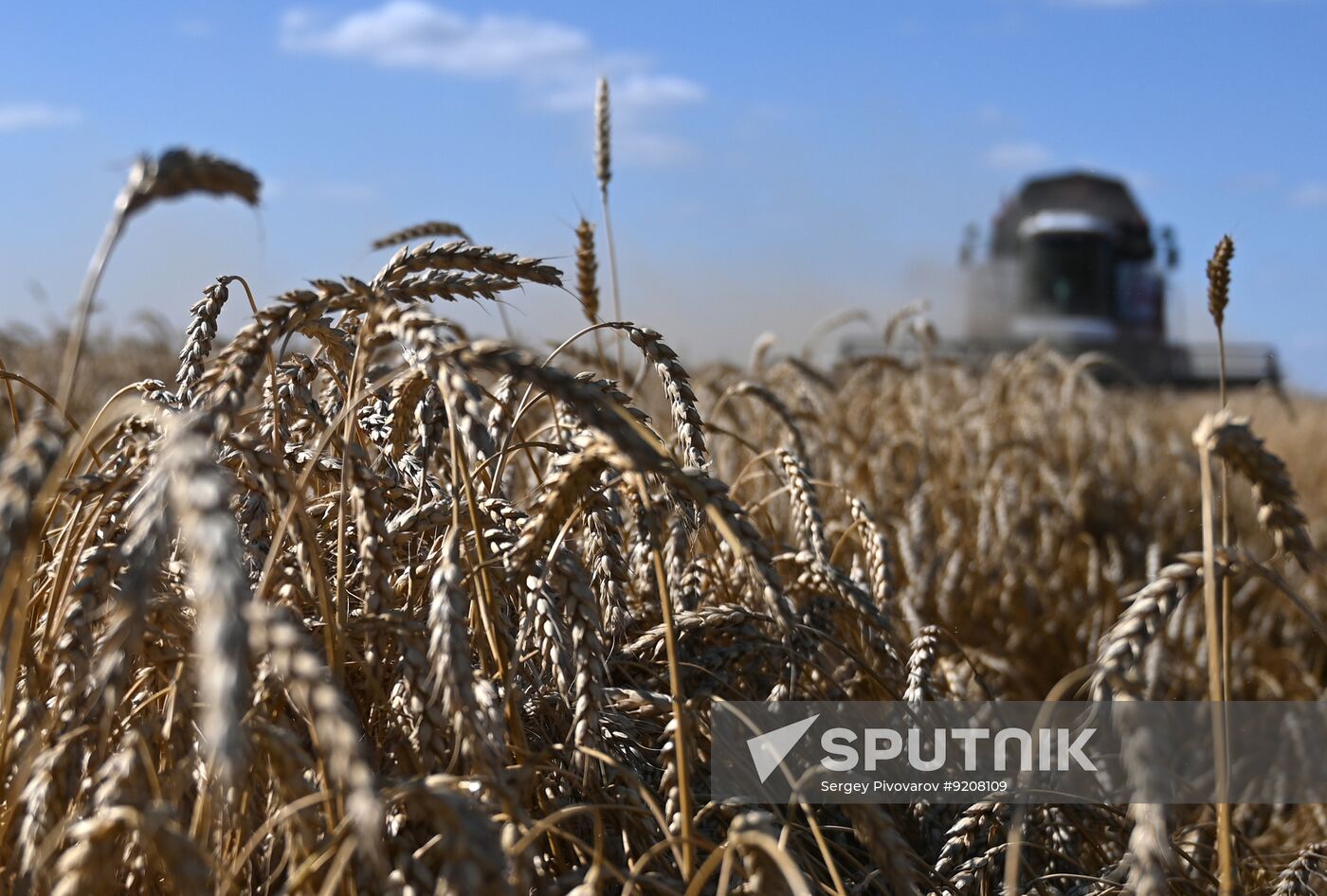 Russia Agriculture Wheat Harvesting