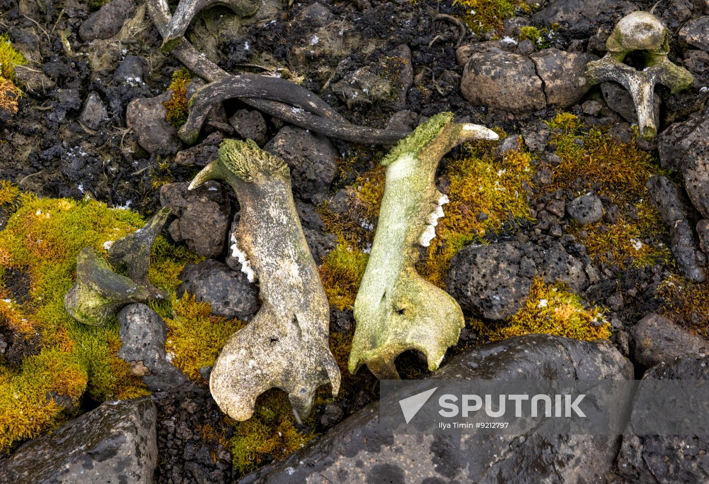 Russia Tourism