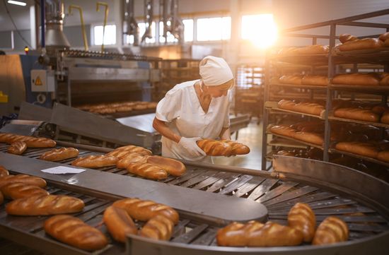 Russia Food Industry