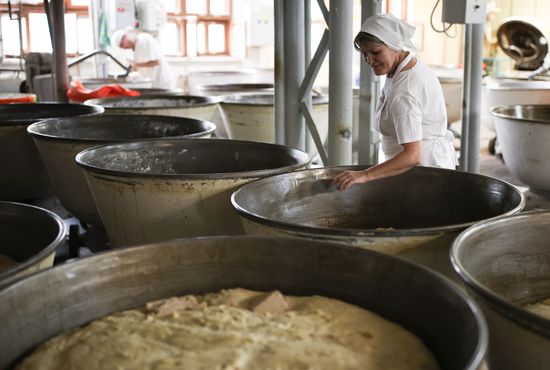 Russia Food Industry