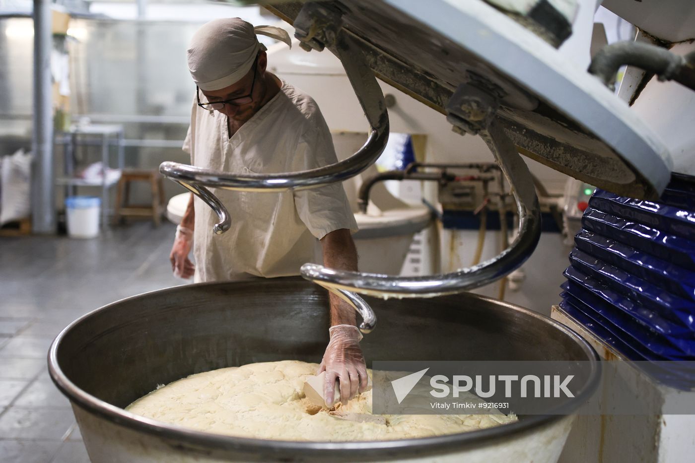 Russia Food Industry