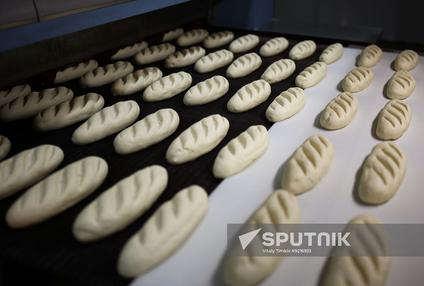 Russia Food Industry