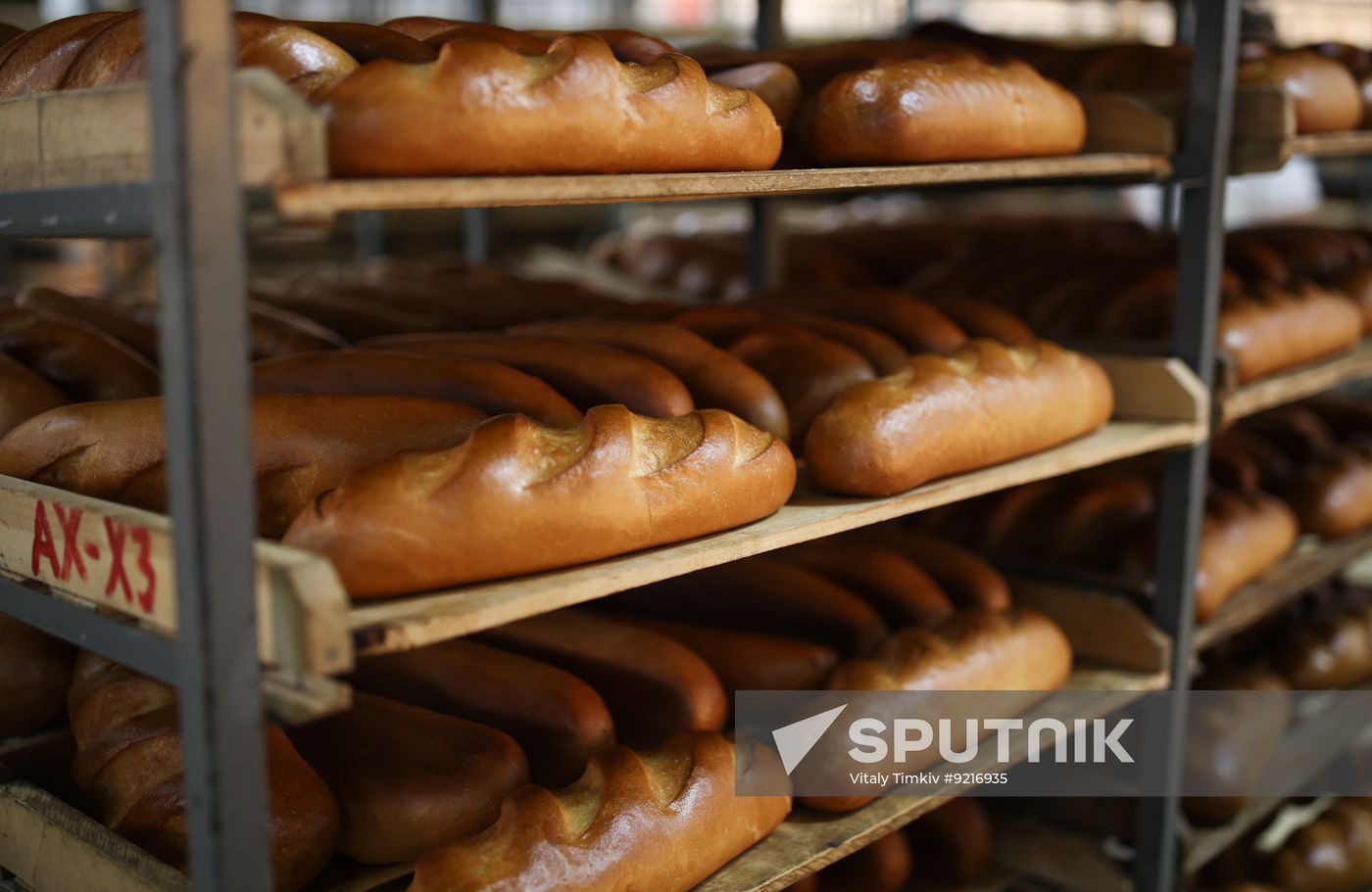 Russia Food Industry