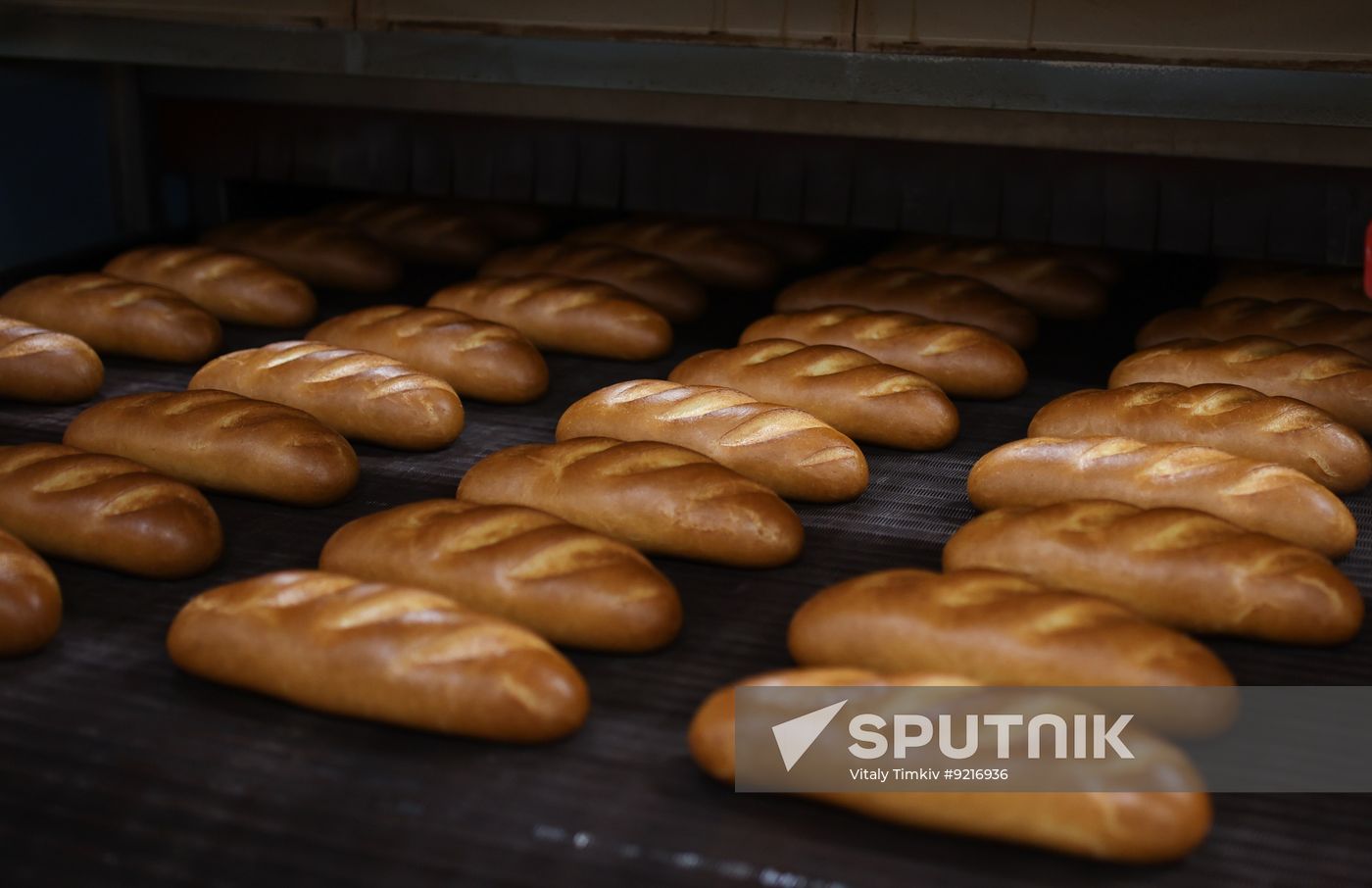 Russia Food Industry