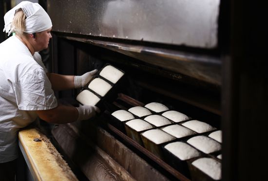Russia Food Industry