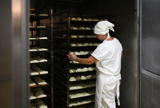 Russia Food Industry