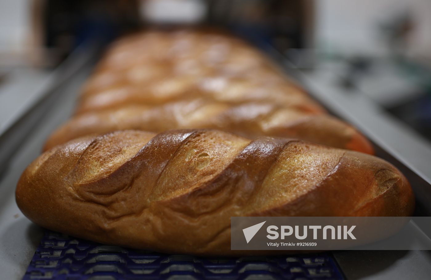 Russia Food Industry