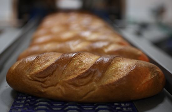 Russia Food Industry
