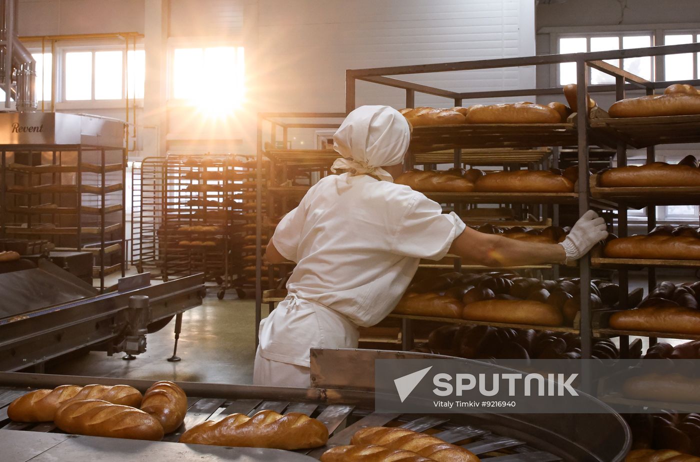 Russia Food Industry