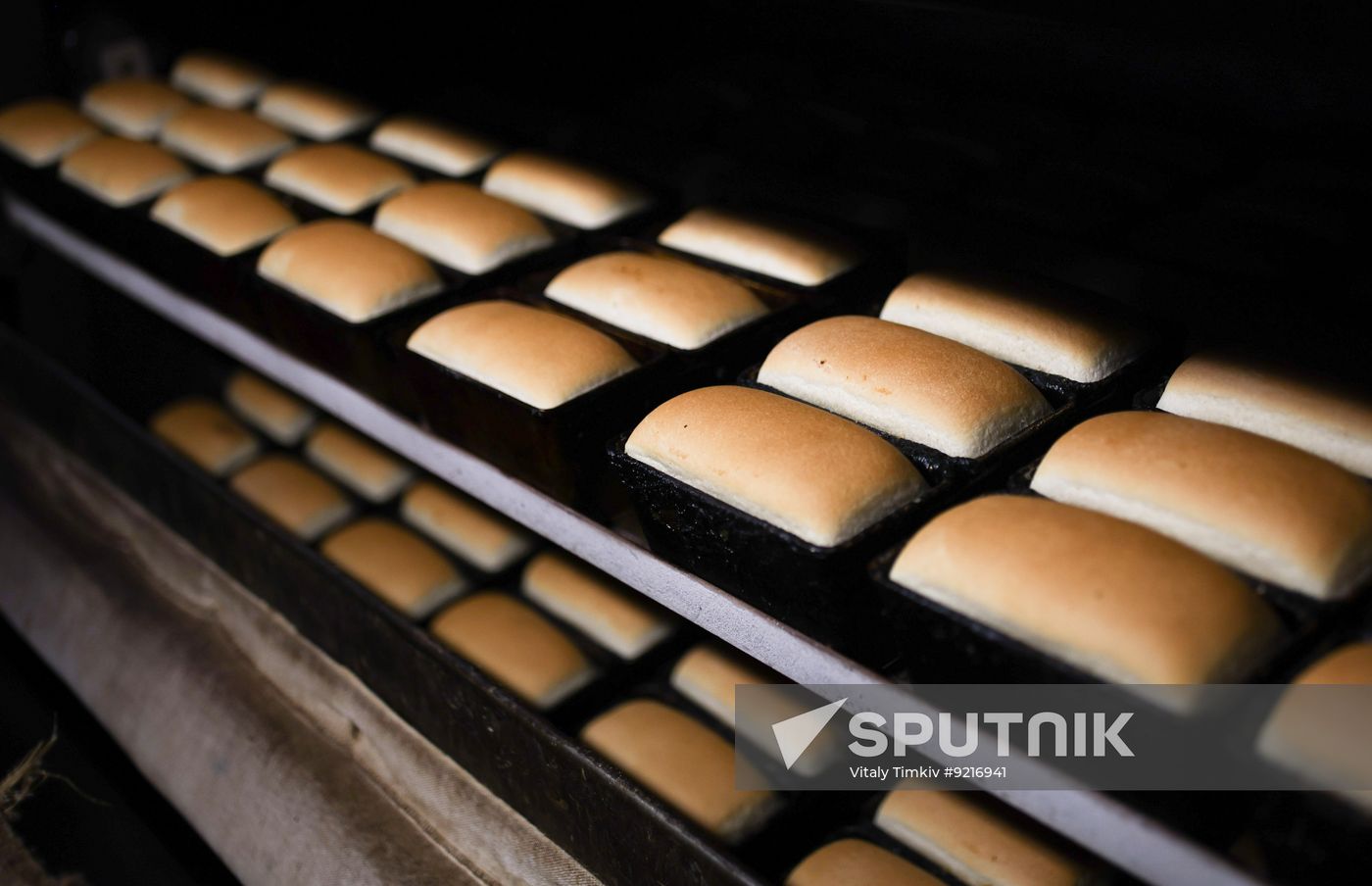 Russia Food Industry