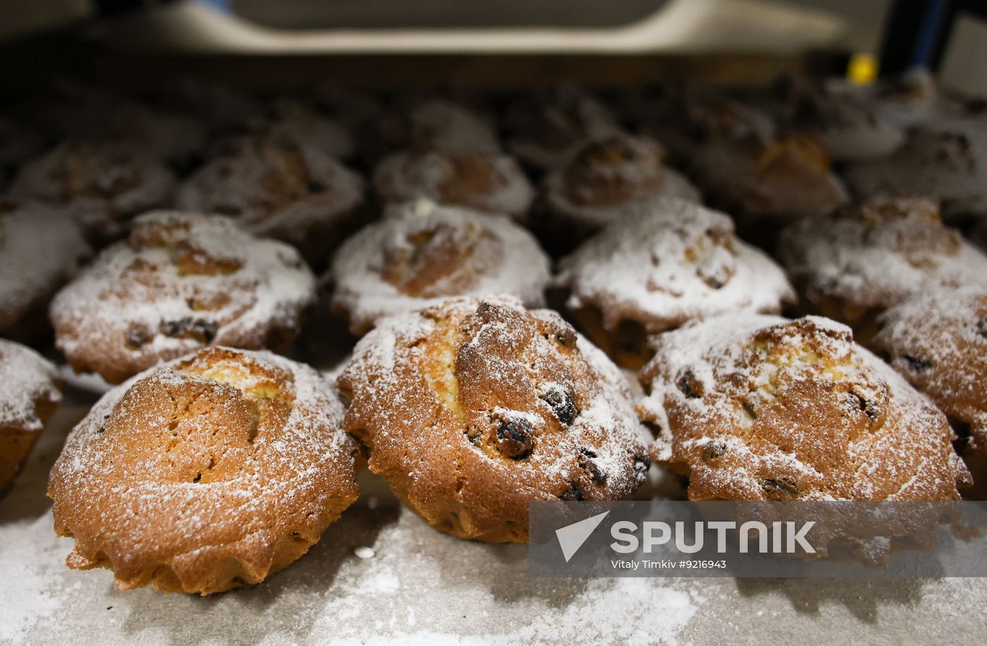 Russia Food Industry