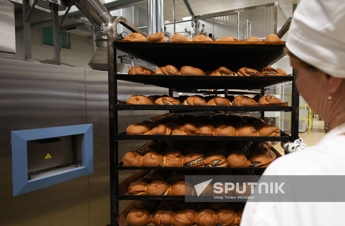 Russia Food Industry
