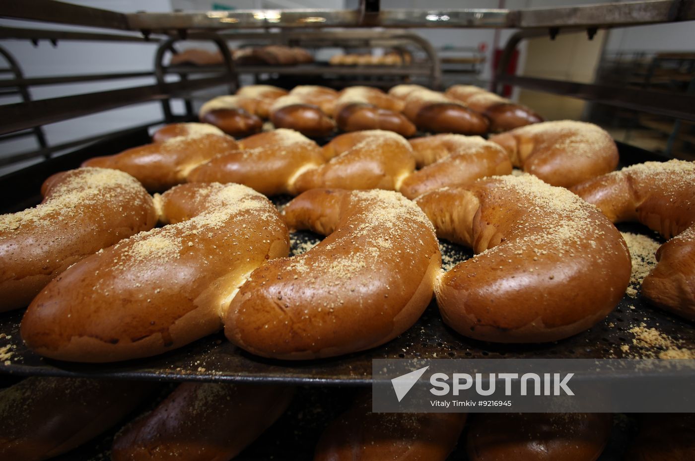 Russia Food Industry