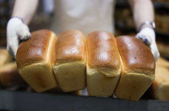 Russia Food Industry