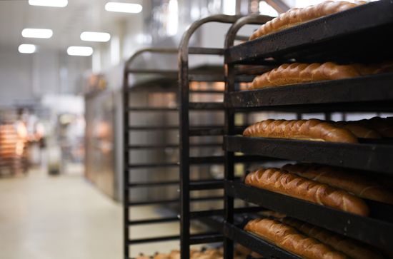 Russia Food Industry