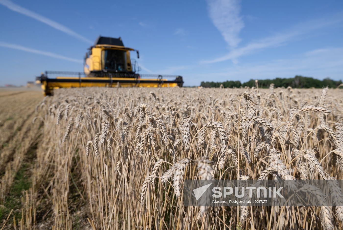 Russia Agriculture Wheat Harvesting