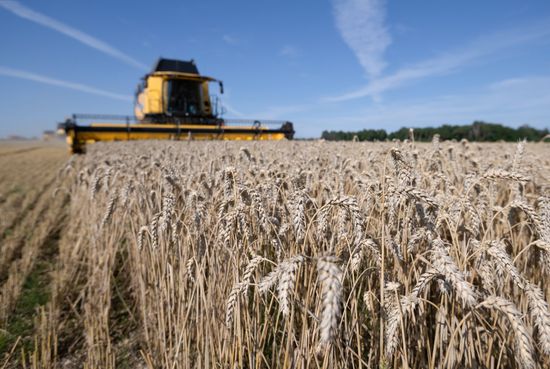 Russia Agriculture Wheat Harvesting