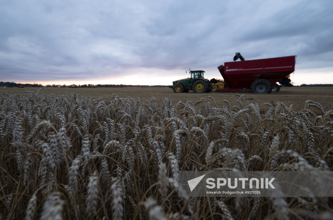 Russia Agriculture Wheat Harvesting