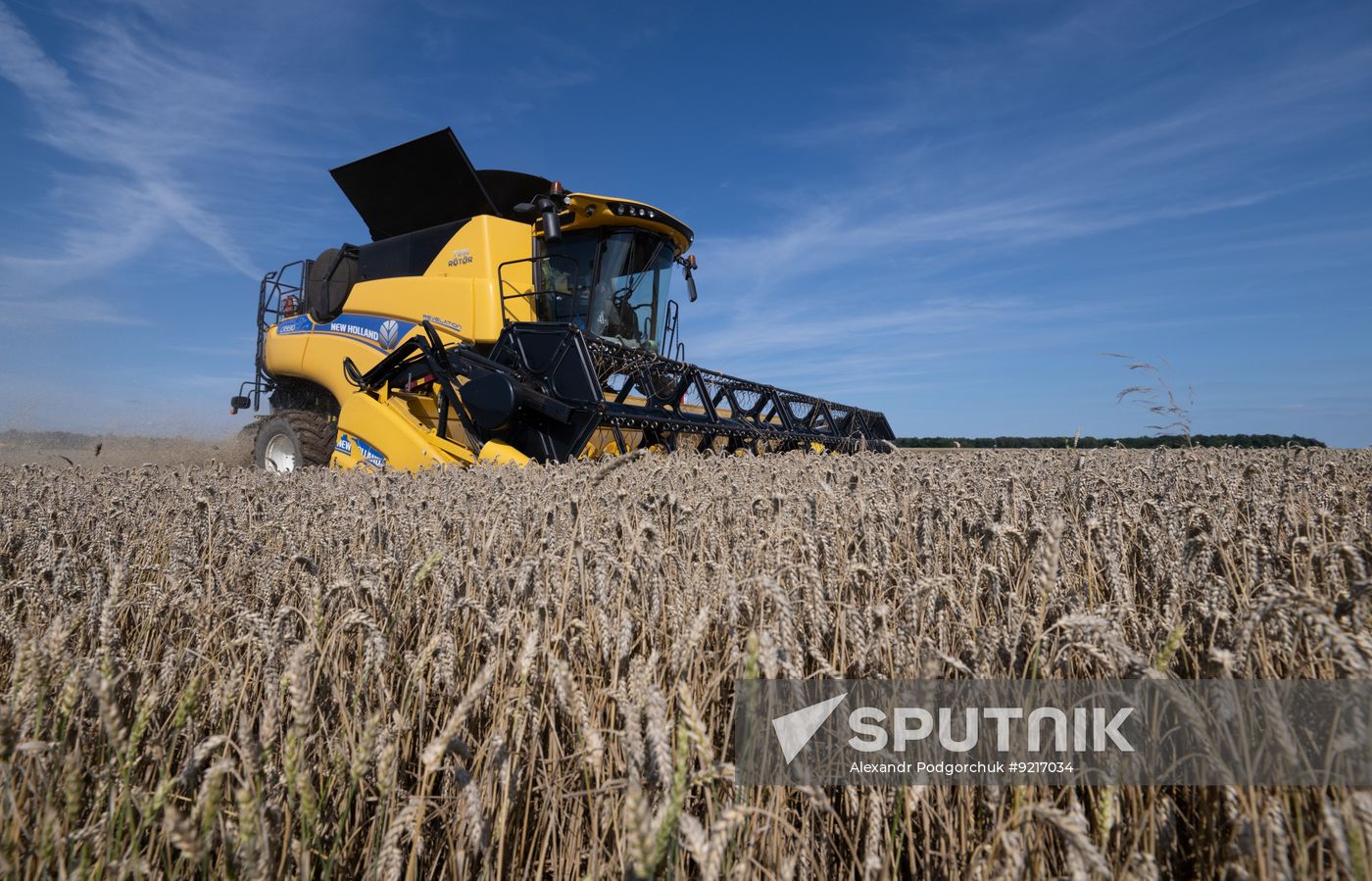 Russia Agriculture Wheat Harvesting