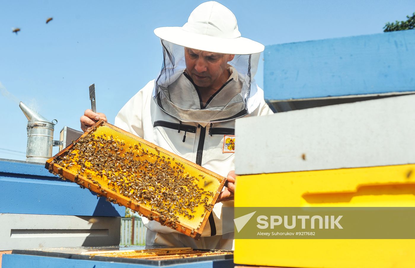 Russia Agriculture Beekeeping