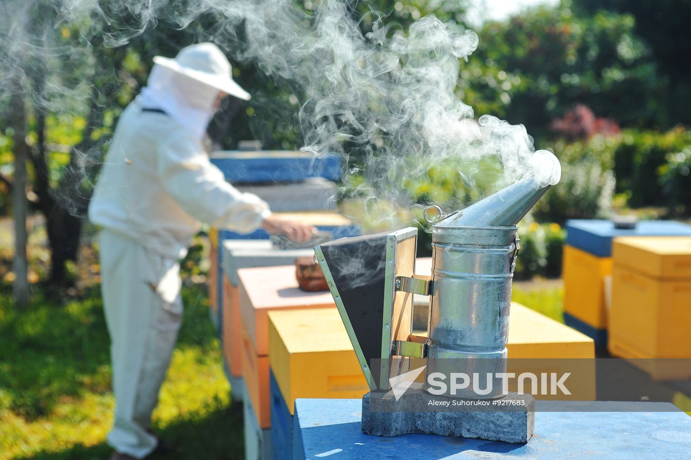 Russia Agriculture Beekeeping