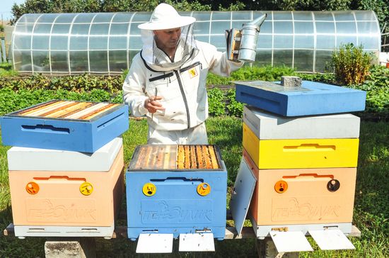 Russia Agriculture Beekeeping