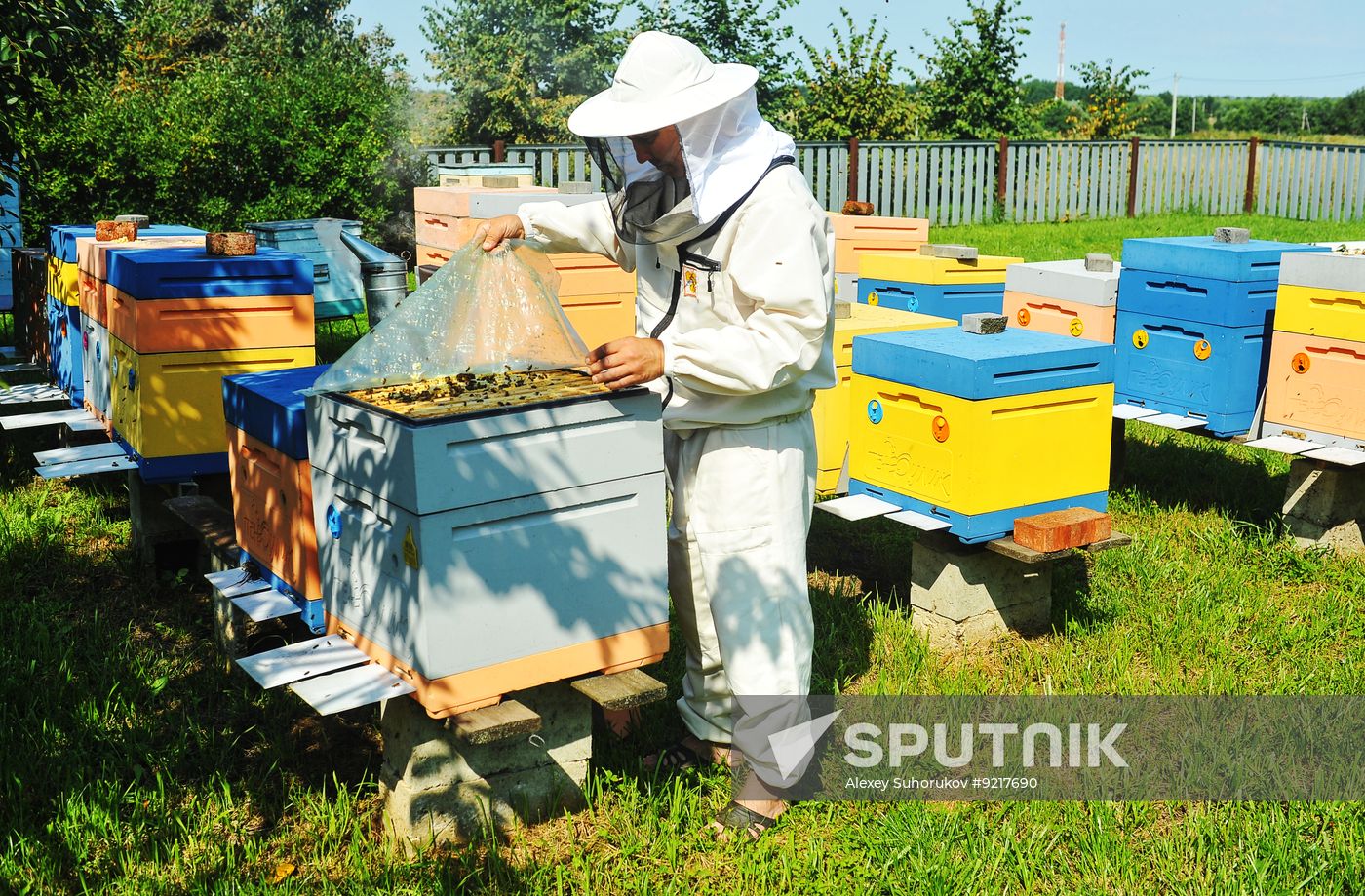 Russia Agriculture Beekeeping