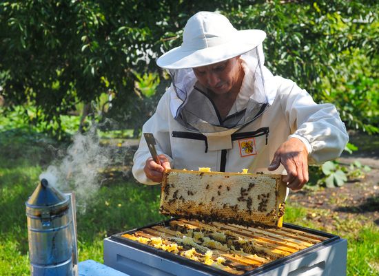 Russia Agriculture Beekeeping