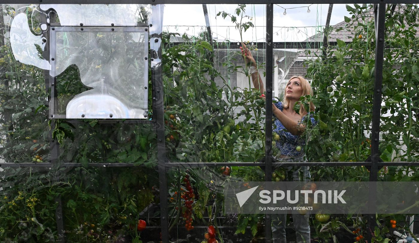 Russia Giant Vegetables Growing