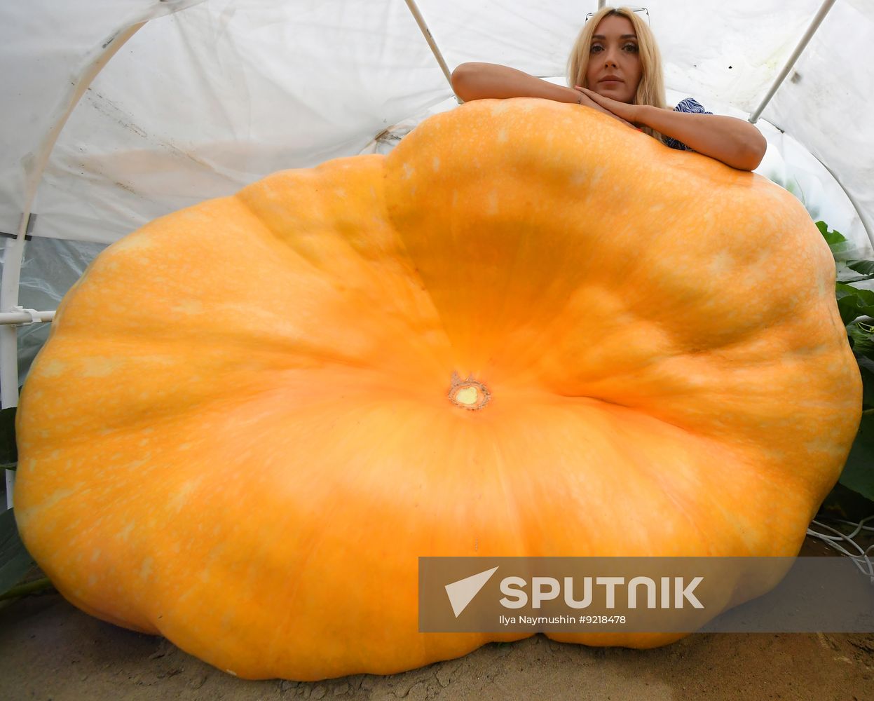 Russia Giant Vegetables Growing