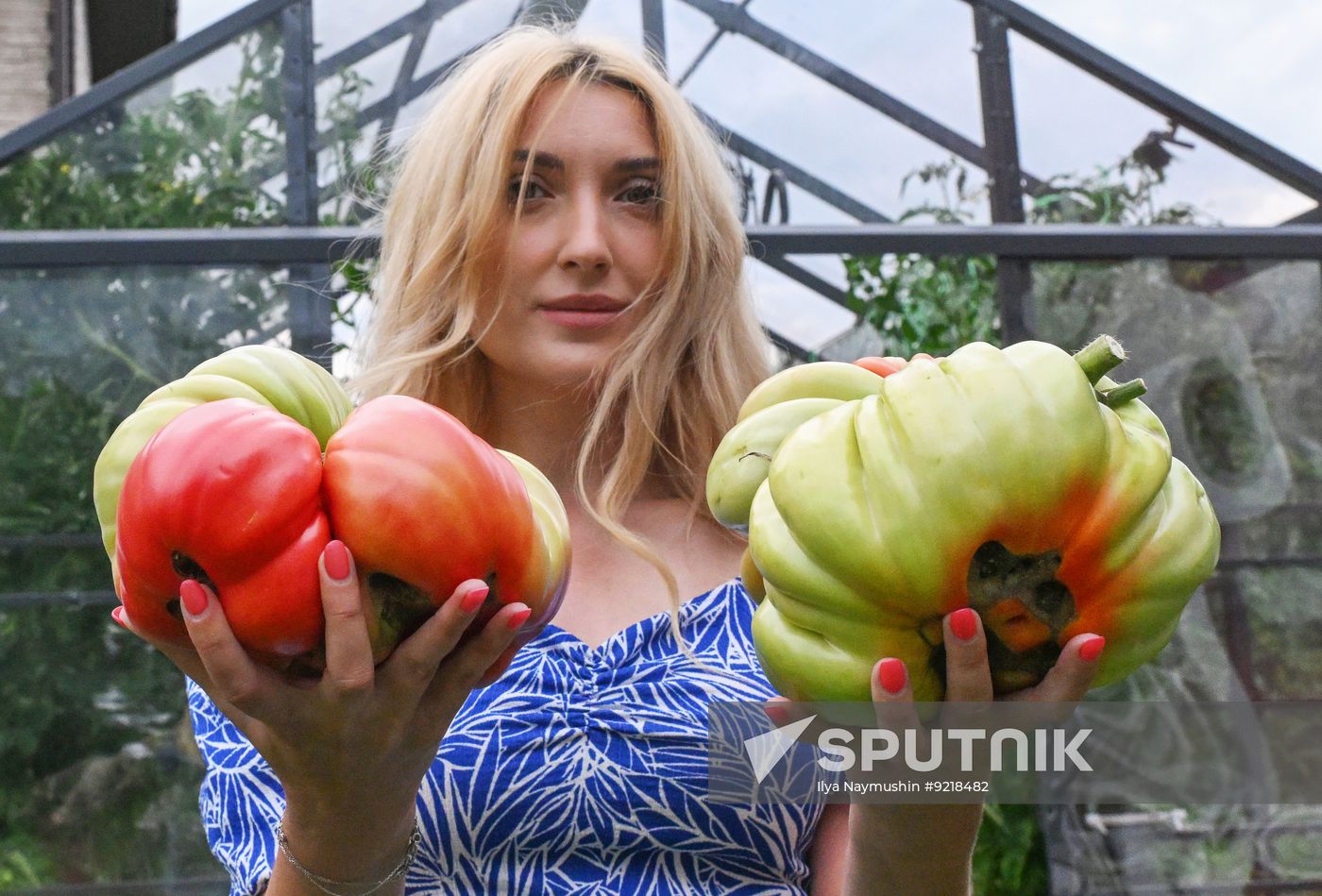 Russia Giant Vegetables Growing