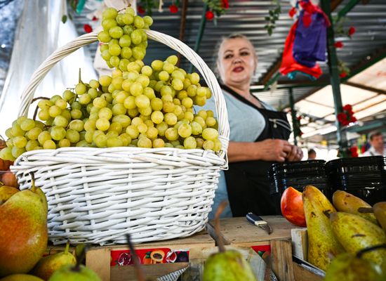 Russia Uzbekistan Grapes Shipment Ban