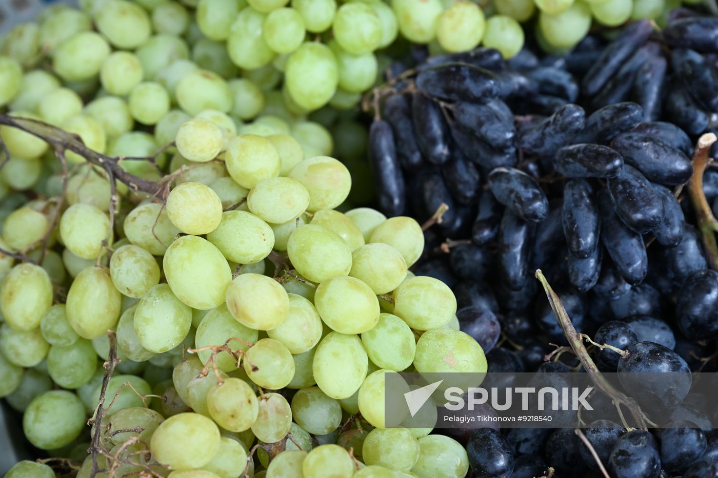 Russia Uzbekistan Grapes Shipment Ban