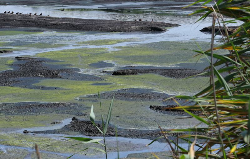 Russia Belgorod Dam Damage