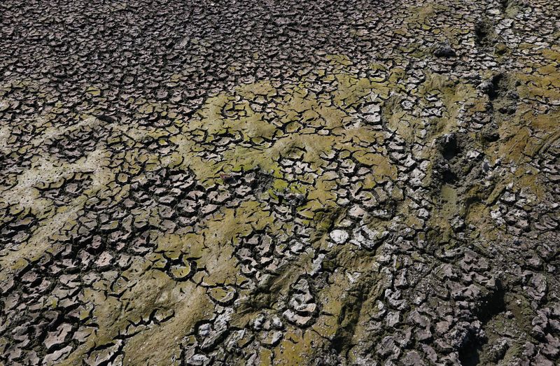 Russia Belgorod Dam Damage