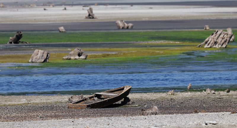 Russia Belgorod Dam Damage