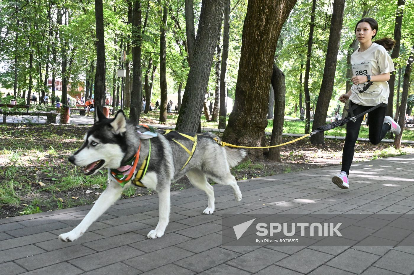 Russia Charity Running Festival