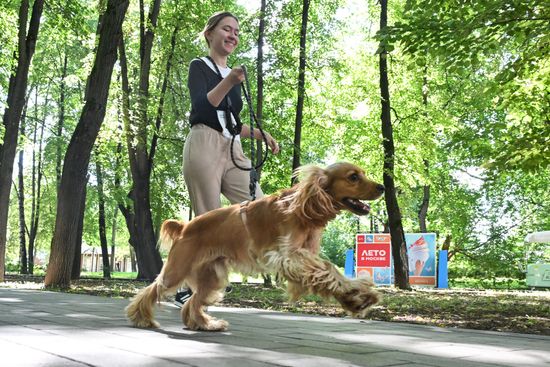 Russia Charity Running Festival