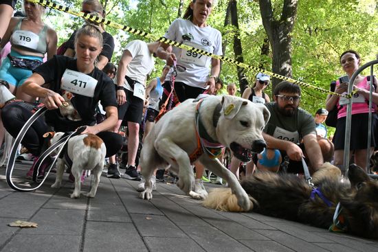 Russia Charity Running Festival