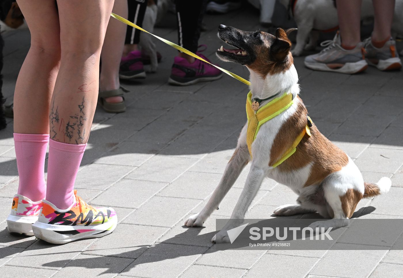Russia Charity Running Festival