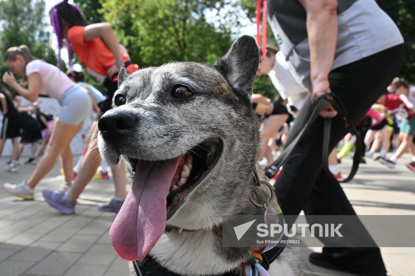 Russia Charity Running Festival