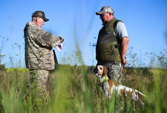 Russia Pointing Dog Competitions